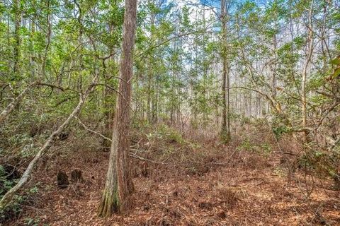 Tiny photo for 11535 Mattioda Road, Groveland, FL 34736 (MLS # OM720967)