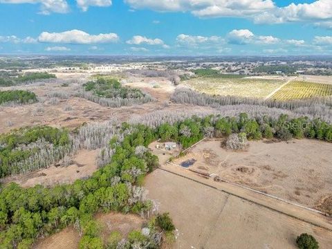Tiny photo for 11535 Mattioda Road, Groveland, FL 34736 (MLS # OM720967)