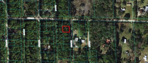 00 NE 67TH AVENUE CITRA FL 32113