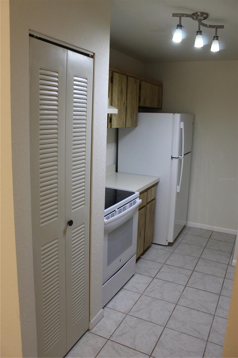 13608 S VILLAGE DRIVE 8202