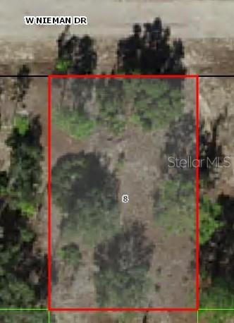 Prime Location! Seize this rare opportunity to own a 0.23-acre vacant lot in the heart of the rapidly growing Citrus Springs community. This high-and-dry lot is perfect for building your dream single-family home, offering a level foundation and ample space for custom designs, outdoor living areas, gardens, or even a pool. With no HOA, you have the freedom to create without restrictions or fees. Just minutes from major roads, enjoy the quick access to Crystal River, Lecanto and Dunnellon for waterfront dining, kayaking, hiking, bike trails, shopping, and family-friendly parks.