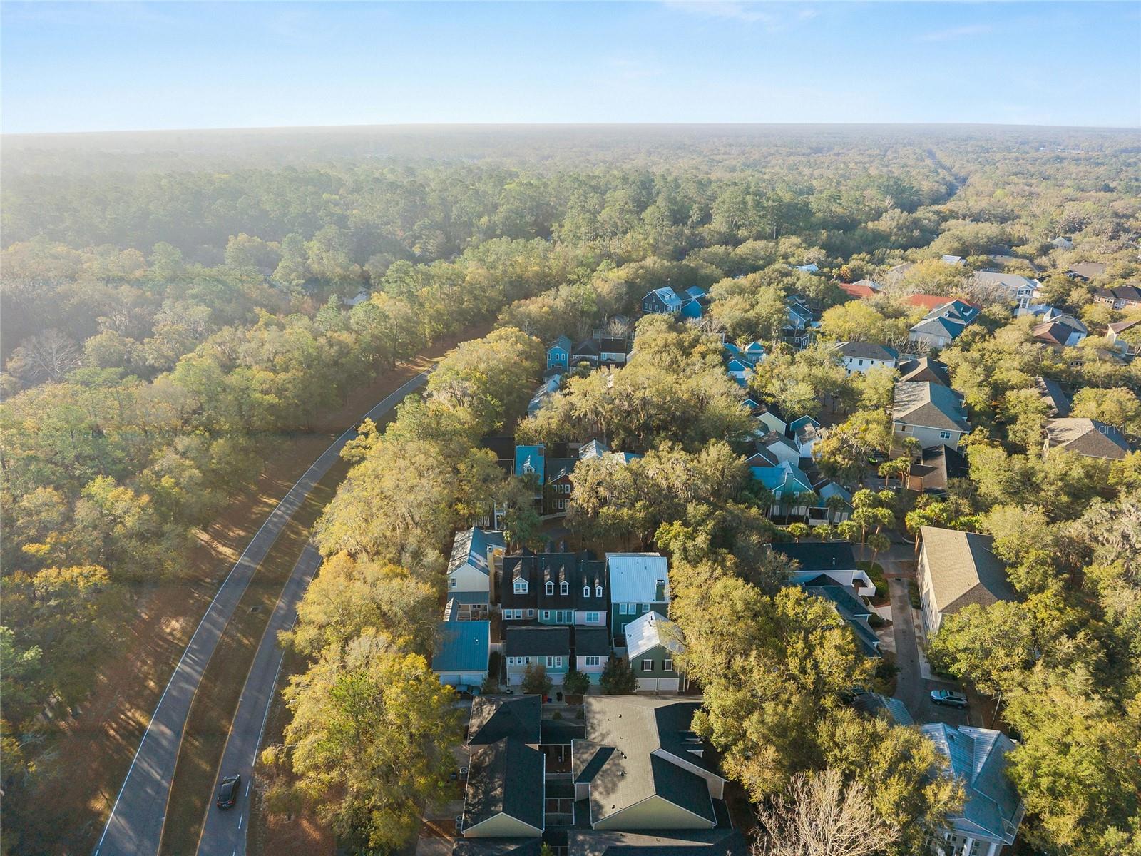 HAILE PLANTATION - Residential