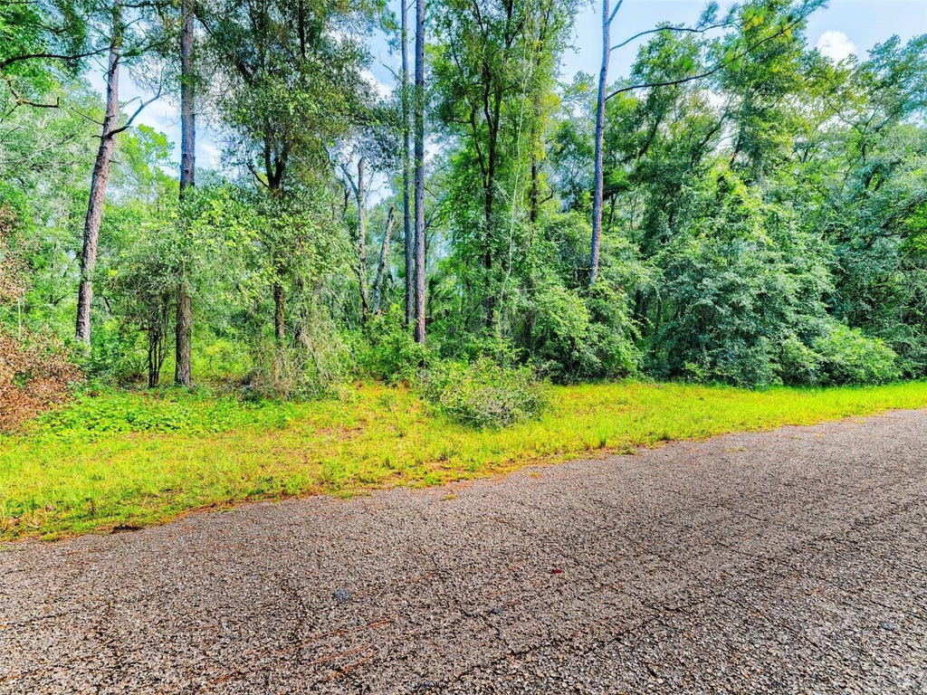 Photo of 1135 E Odin Drive, Citrus Springs, FL 34434 (MLS # TB8548754)