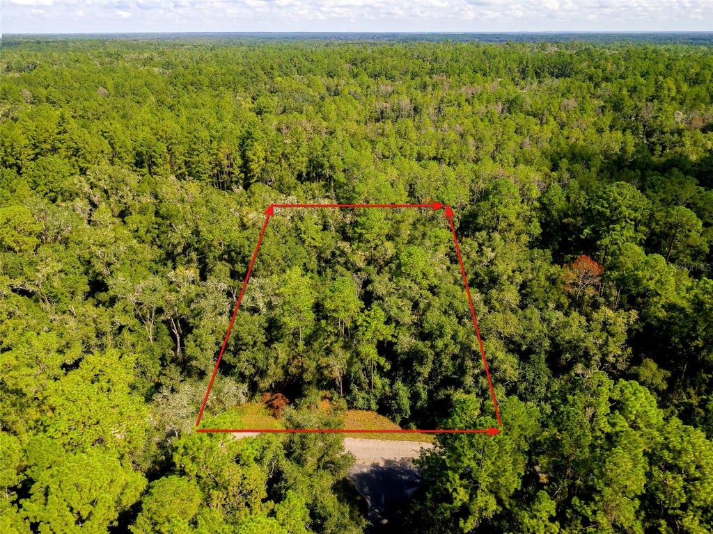 Photo of 1135 E Odin Drive, Citrus Springs, FL 34434 (MLS # TB8548754)