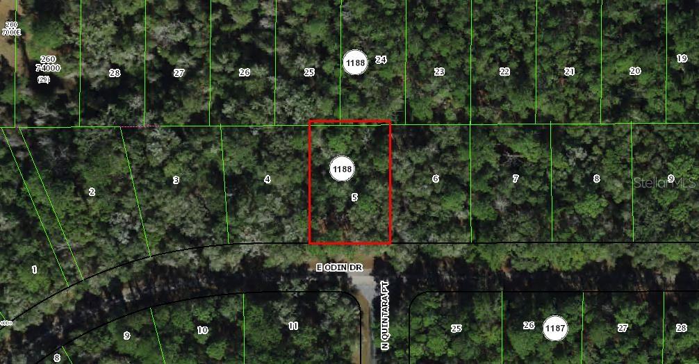Photo of 1135 E Odin Drive, Citrus Springs, FL 34434 (MLS # TB8548754)