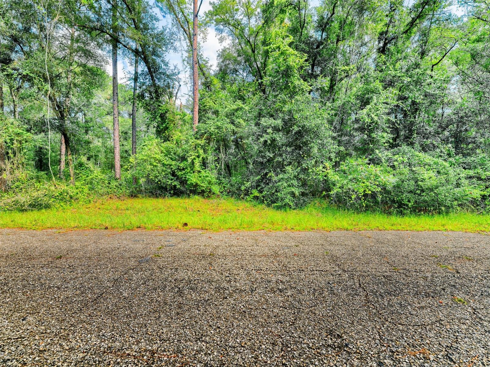 1135 E ODIN DRIVE