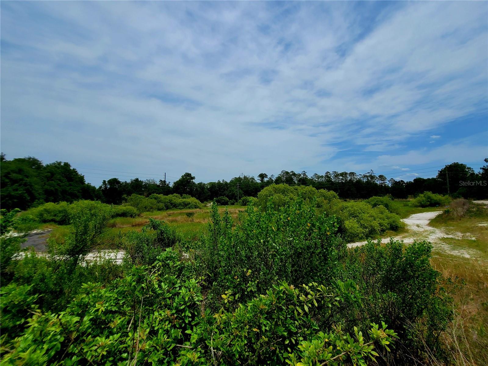 Under contract-accepting backup offers. Enjoy Many Opportunities with this 30.86 Acre property! Build your own dream home with your own private park, with many nature paths already made, so much space, peace and tranquility, bring your animals, grow your own vegetables! Excellent location, near major roads and short driving distance to the Suncoast expressway, shopping, restaurants, etc.. Make it your own, or could have commercial possibilities, as RV park, campground, etc. etc.
Fantastic location as there is some frontage available on Hudson Avenue.
Many dirt paths go throughout the property, photos don't convey... One well is on property but has not been used. Electric is available.
You can be back in nature with conveniences nearby!