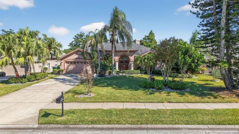 Photo of 207 Hancock Court, Safety Harbor, FL 34695 (MLS # TB8437208)