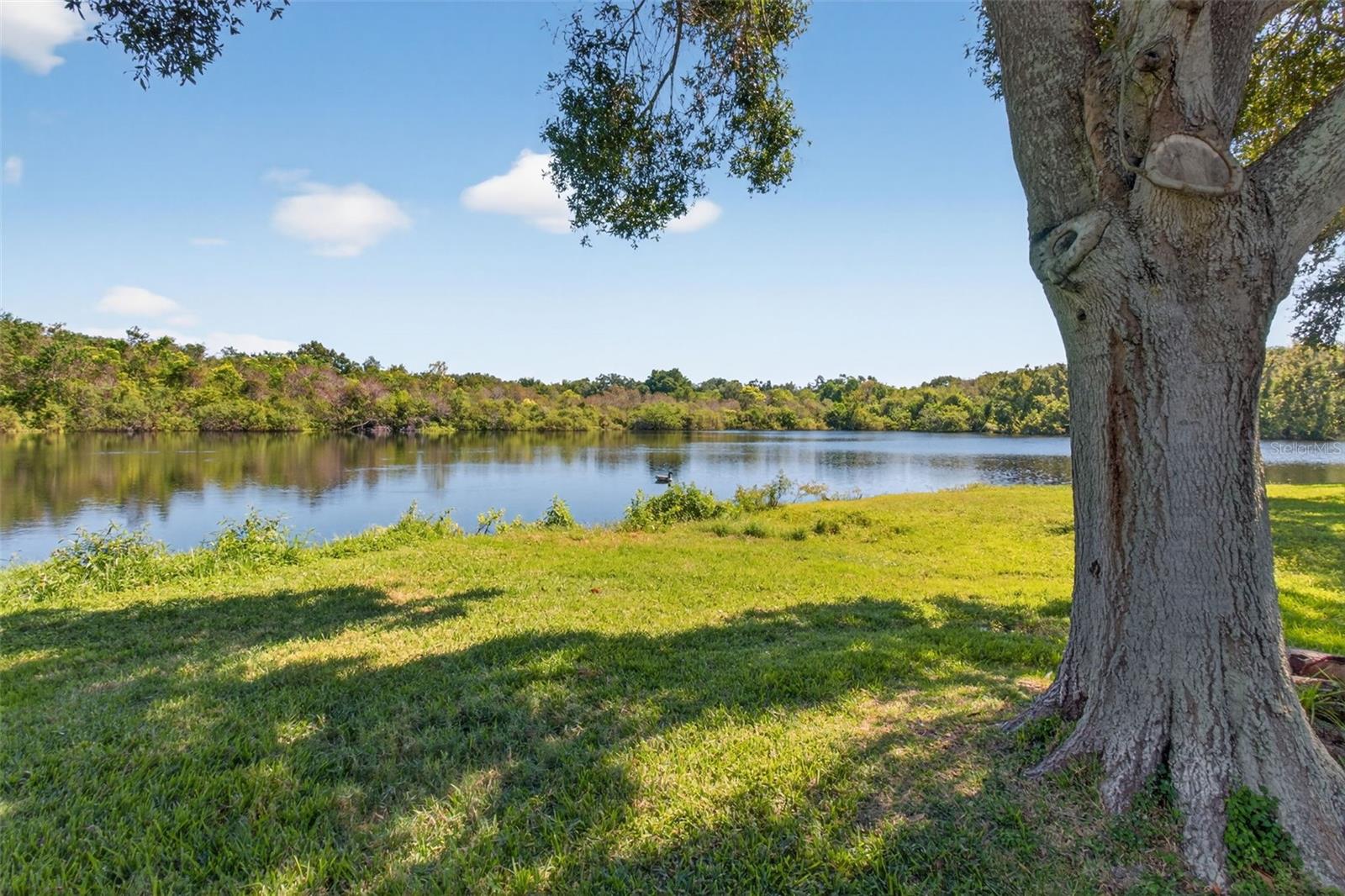 OLD HARBOR PLACE - Residential