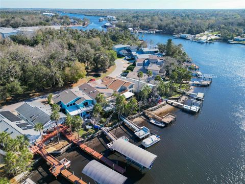 5254 S RIVERVIEW CIRCLE HOMOSASSA FL 34448