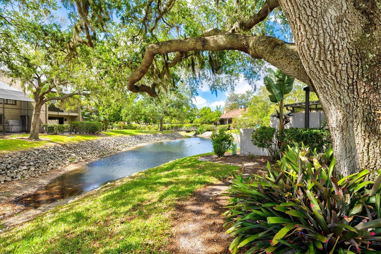 HUNTERS WALK - HAMLETS - Residential