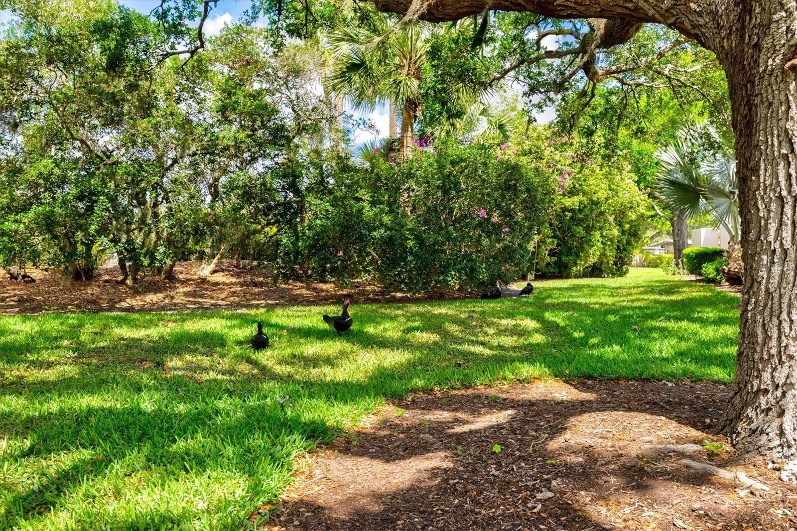 HUNTERS WALK - HAMLETS - Residential