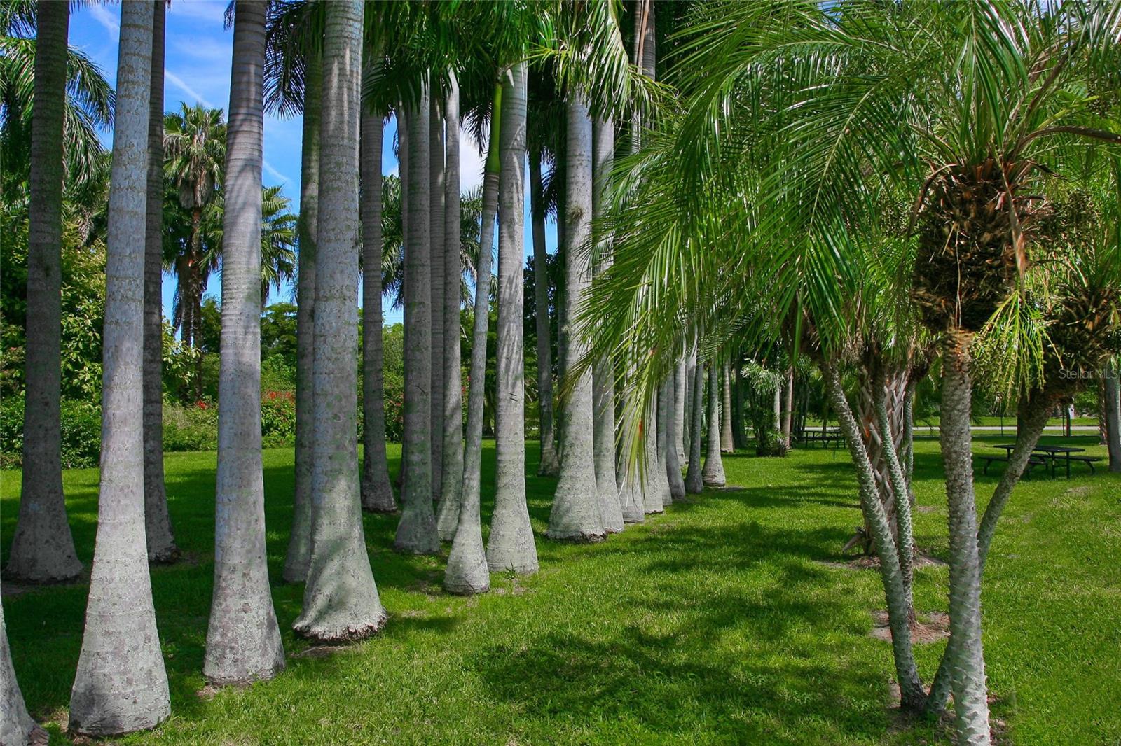 PALMA SOLA TRACE - Residential