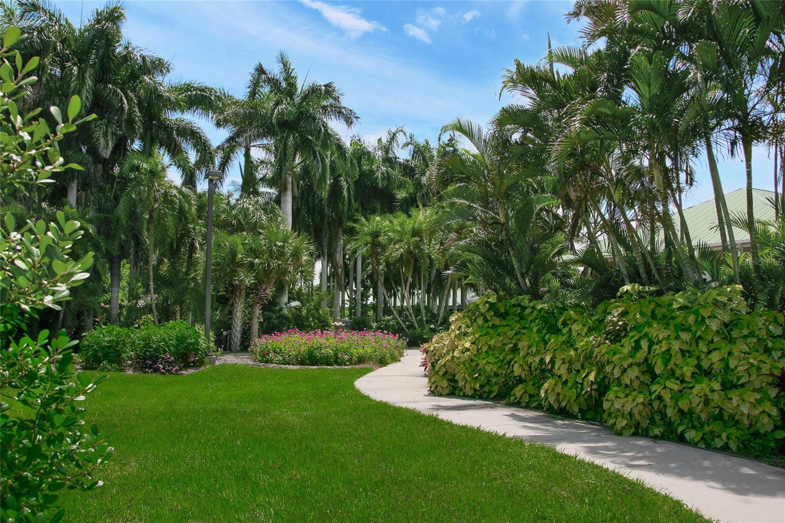 PALMA SOLA TRACE - Residential