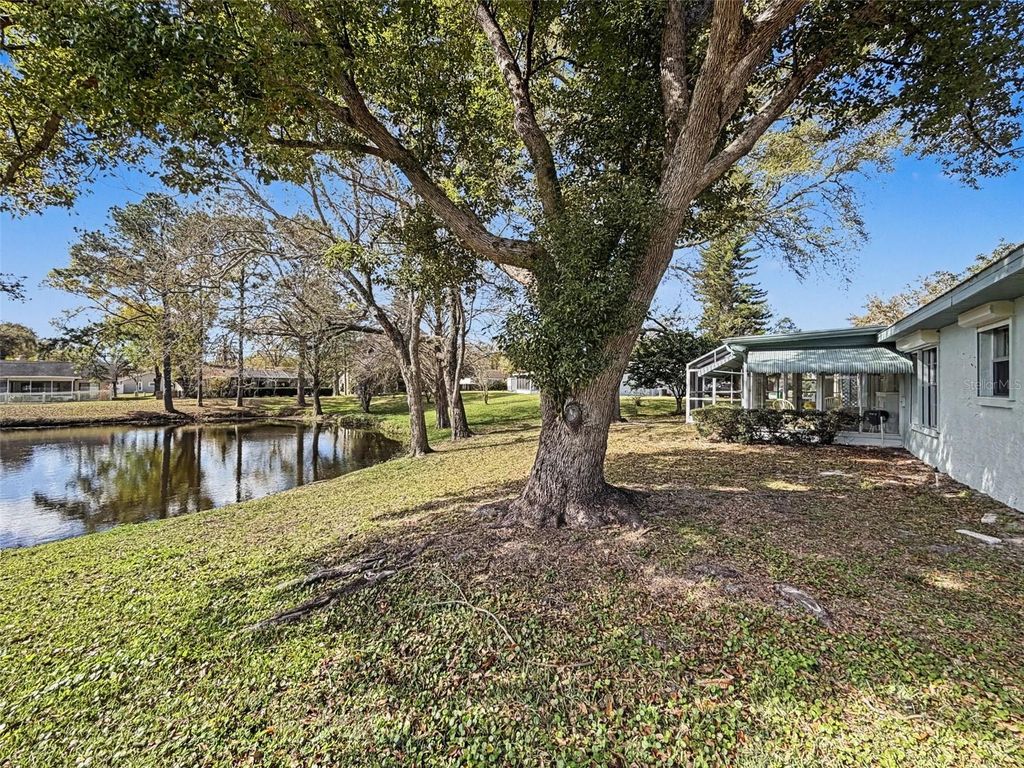 Photo of 1446 Queen Anne Boulevard, Palm Harbor, FL 34684 (MLS # TB8477938)