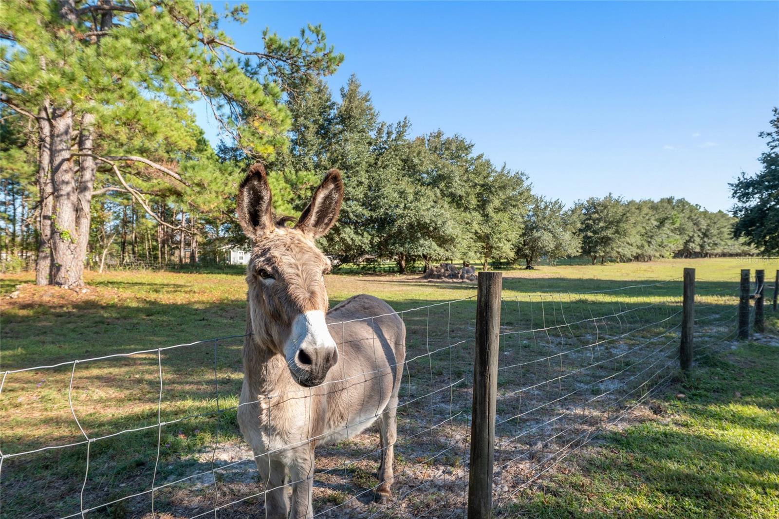 NOT IN A SUBDIVISION - Residential