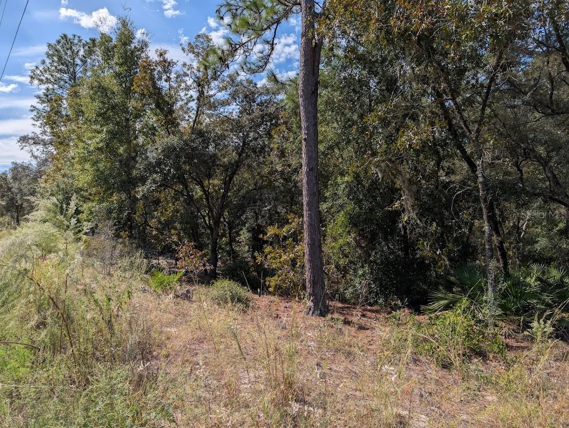 ROLLING HILLS UN 02 - Land