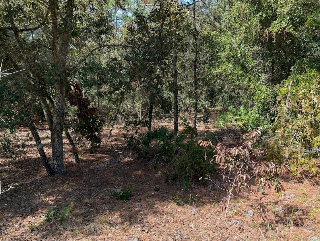 ROLLING HILLS UN 02 - Land