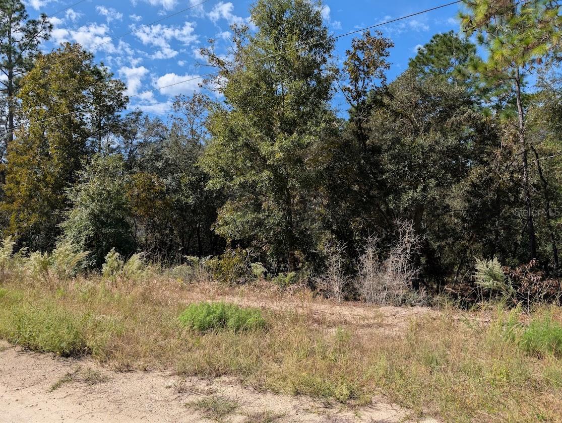 ROLLING HILLS UN 02 - Land