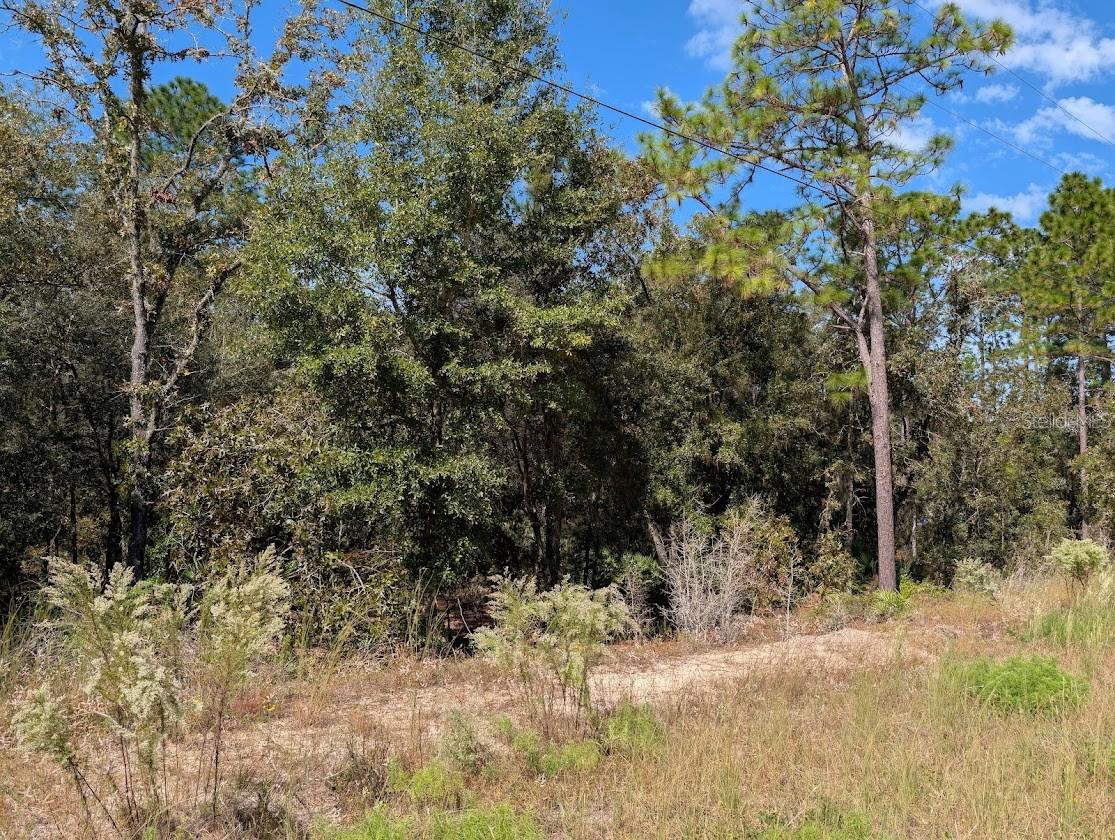 ROLLING HILLS UN 02 - Land