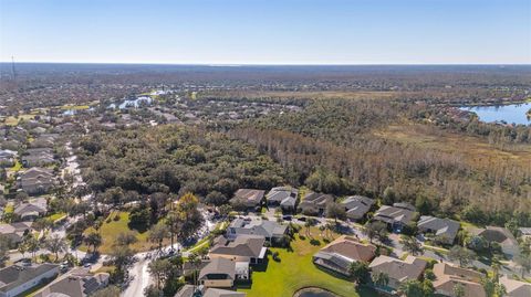 A home in KISSIMMEE