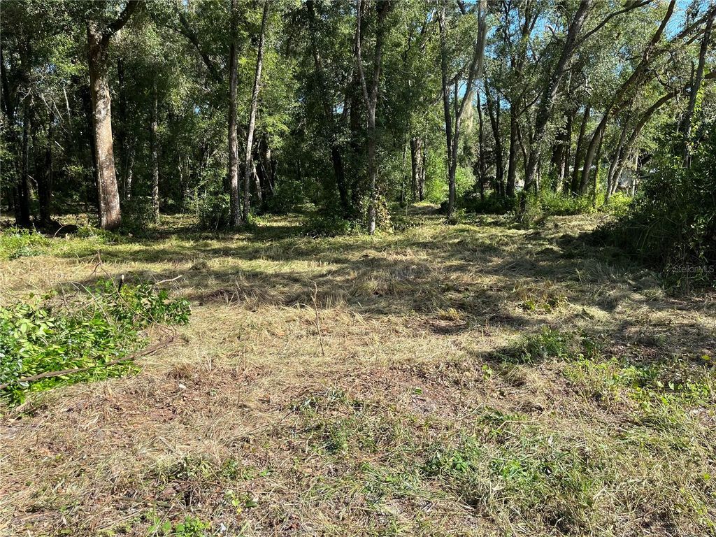 Photo of 0 Sr 575, Dade City, FL 33523 (MLS # O6356032)