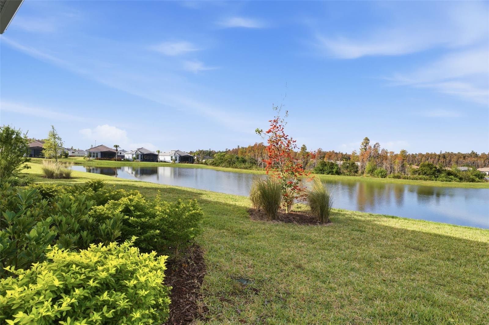 ESPLANADE/WIREGRASS RANCH PHS - Residential