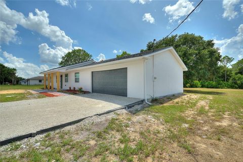 A home in HAINES CITY