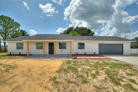 A home in HAINES CITY