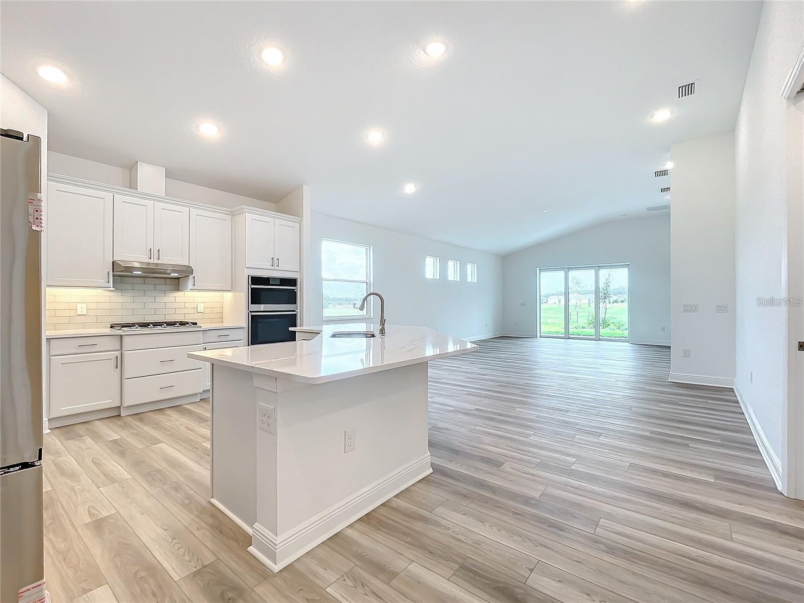 LAKES OF MOUNT DORA - Residential