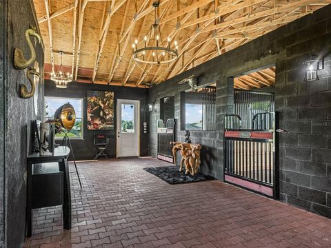 Tiny photo for 7161 NE 22nd Court Road, Ocala, FL 34479 (MLS # OM698839)