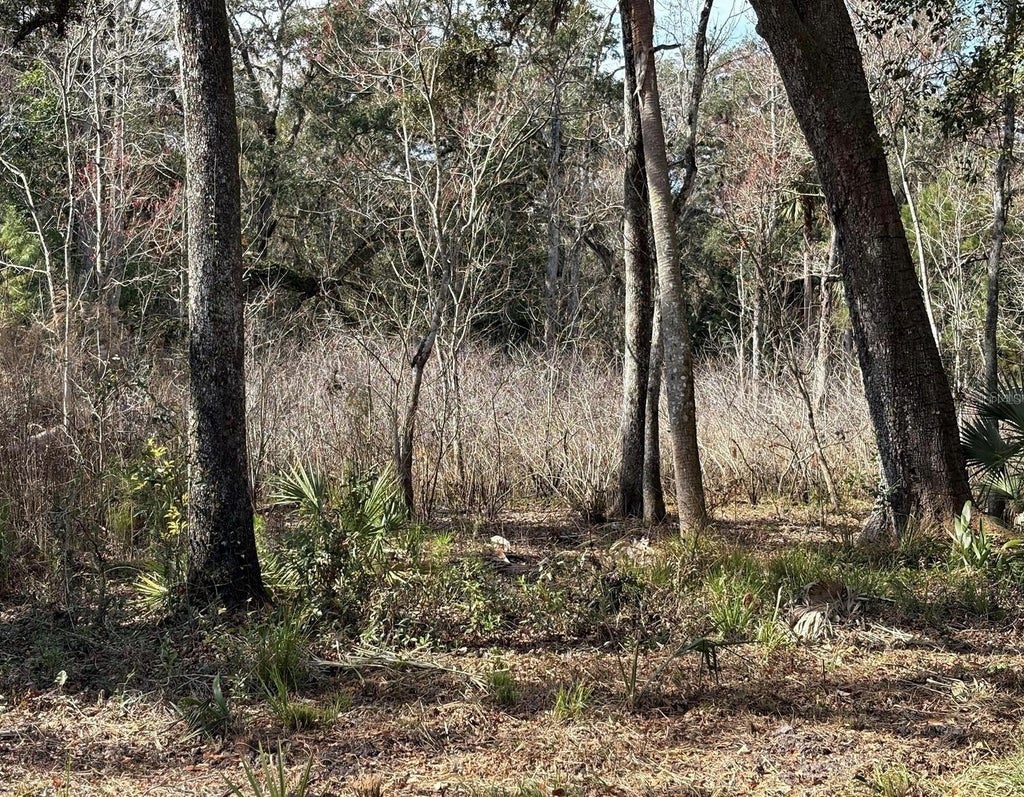 Photo of Lake Lindsey Road, Brooksville, FL 34601 (MLS # TB8551307)