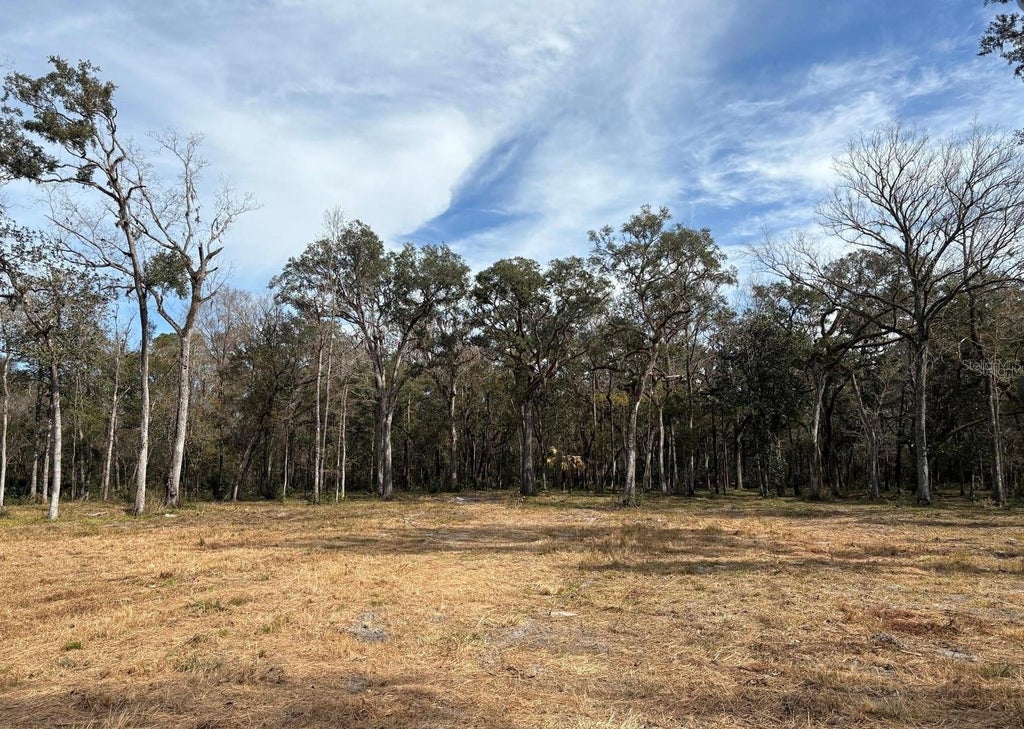 Photo of Lake Lindsey Road, Brooksville, FL 34601 (MLS # TB8551307)