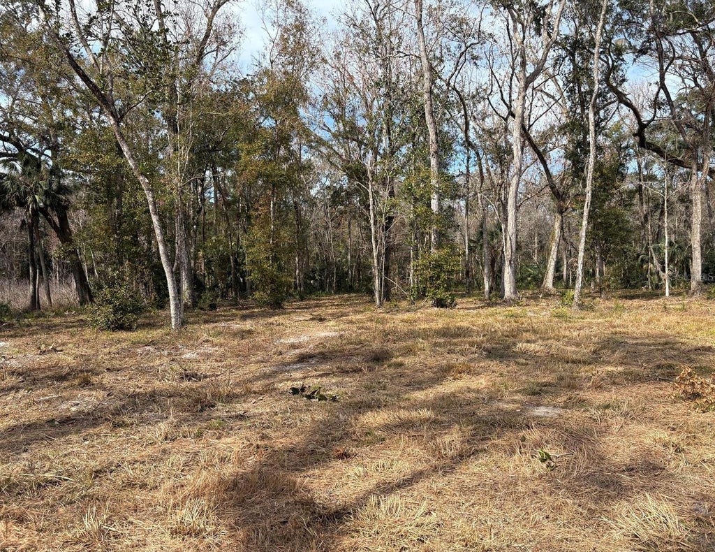 Photo of Lake Lindsey Road, Brooksville, FL 34601 (MLS # TB8551307)