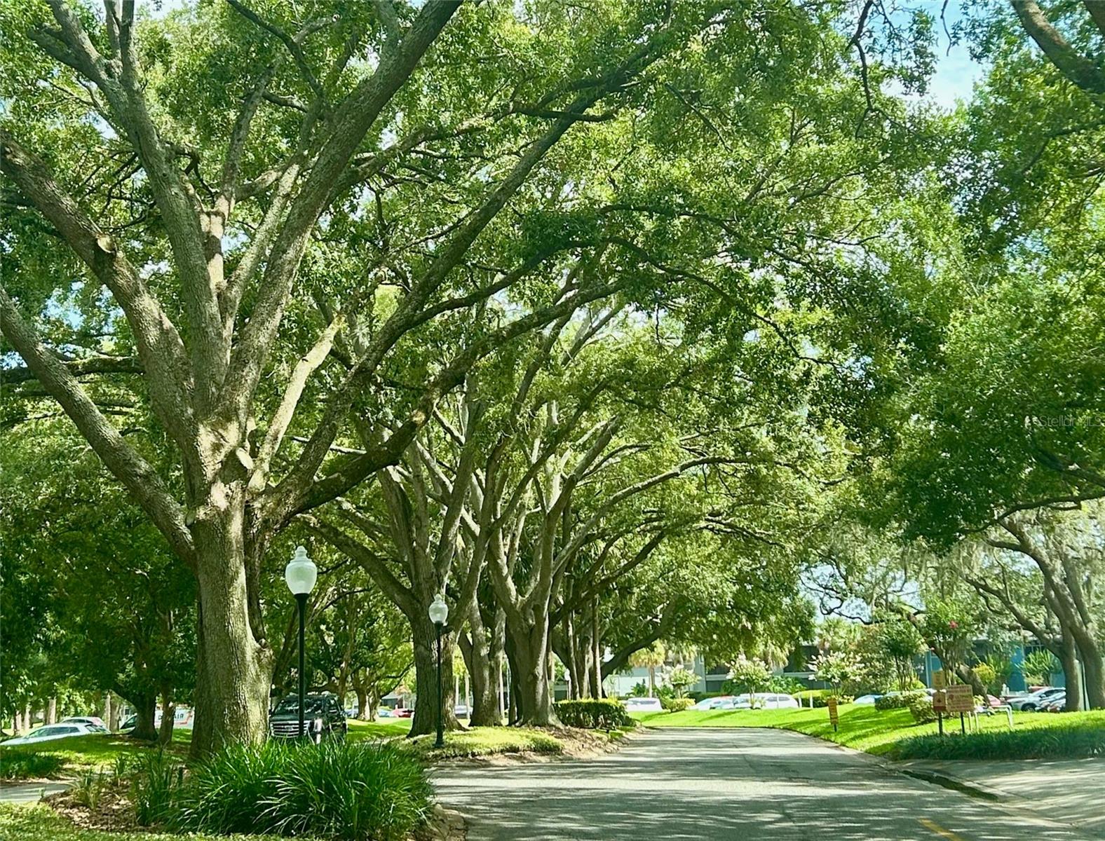 LAKEVIEW CONDO 02 - Residential