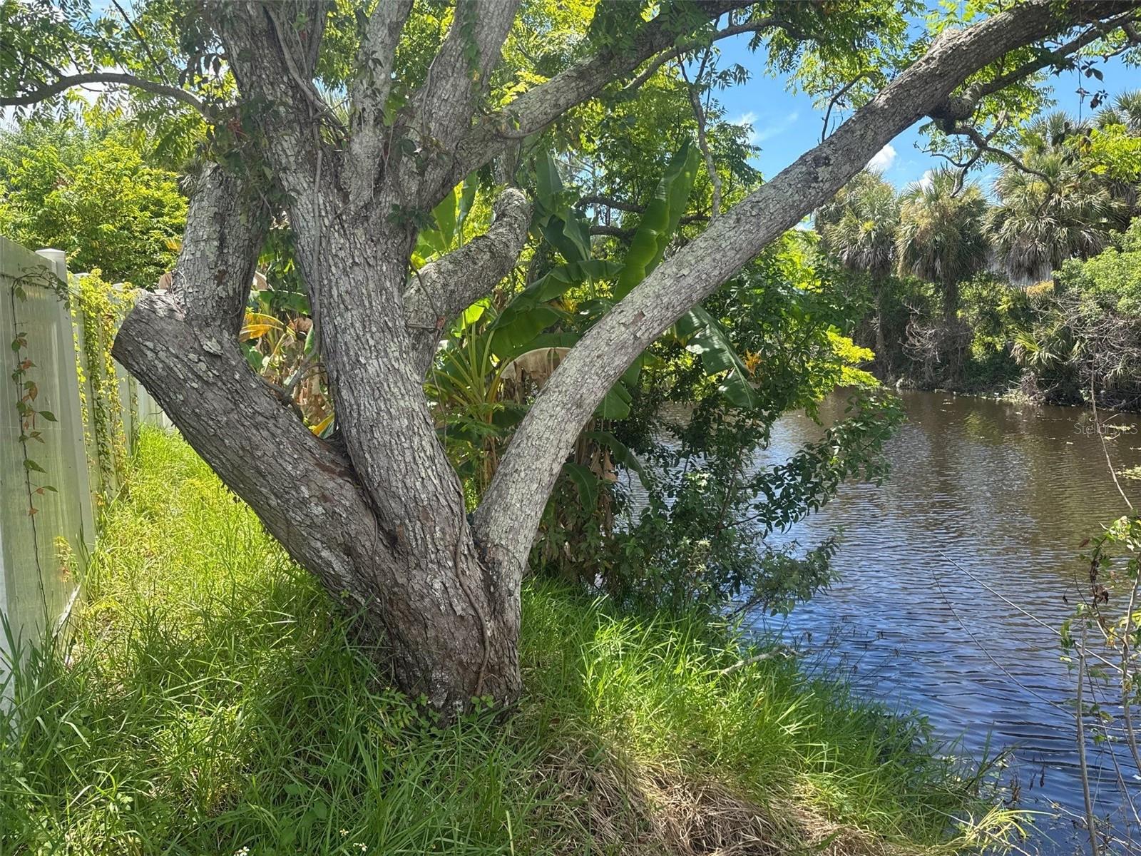 PORT CHARLOTTE SEC 51 01 - Residential