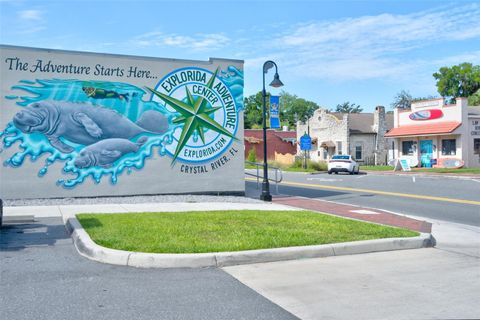 A home in CRYSTAL RIVER