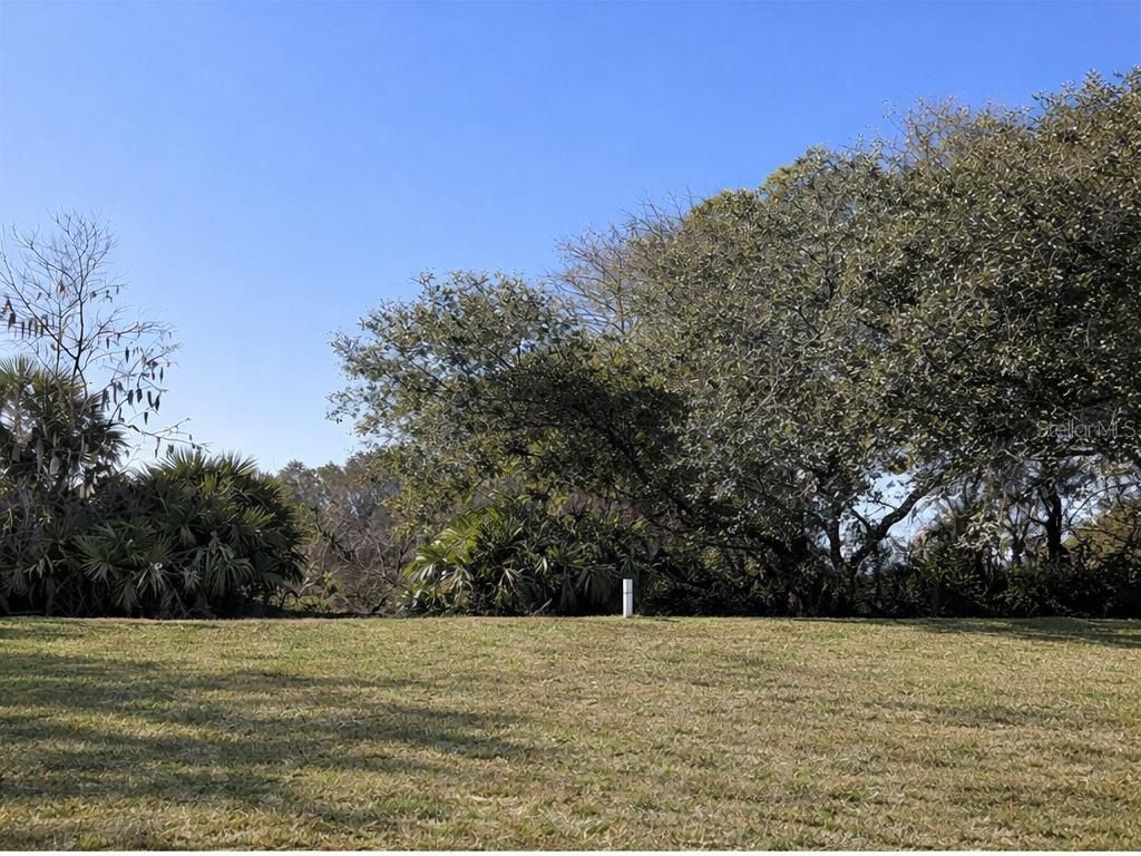 Photo of 15296 SW 15th Terrace Road, Ocala, FL 34473 (MLS # G5107598)