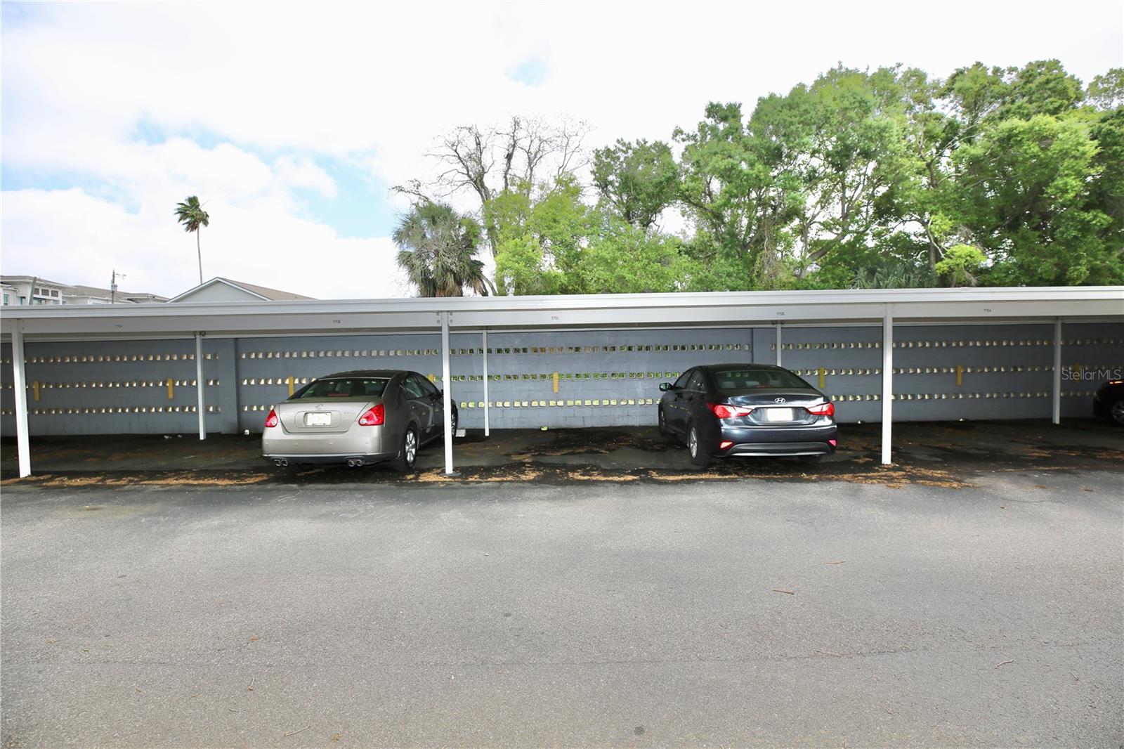 BELLEAIR FOREST GARDEN CONDO - Residential