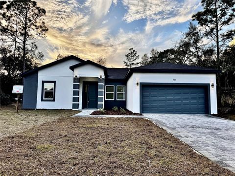 Photo of 7162 N Maltese Drive, Citrus Springs, FL 34433 (MLS # O6368345)