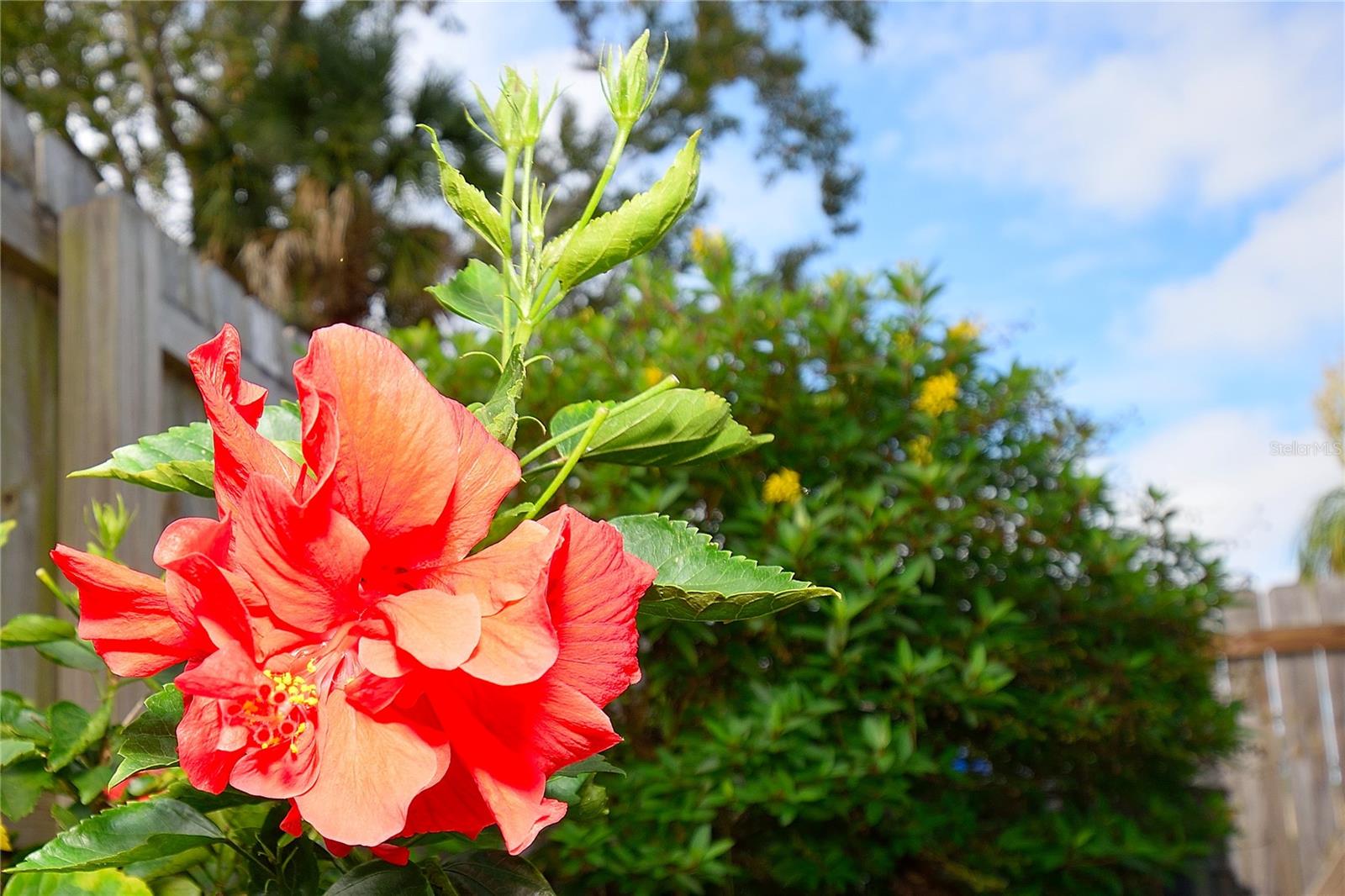 FOX LAKE MANOR SEC 01 - Residential