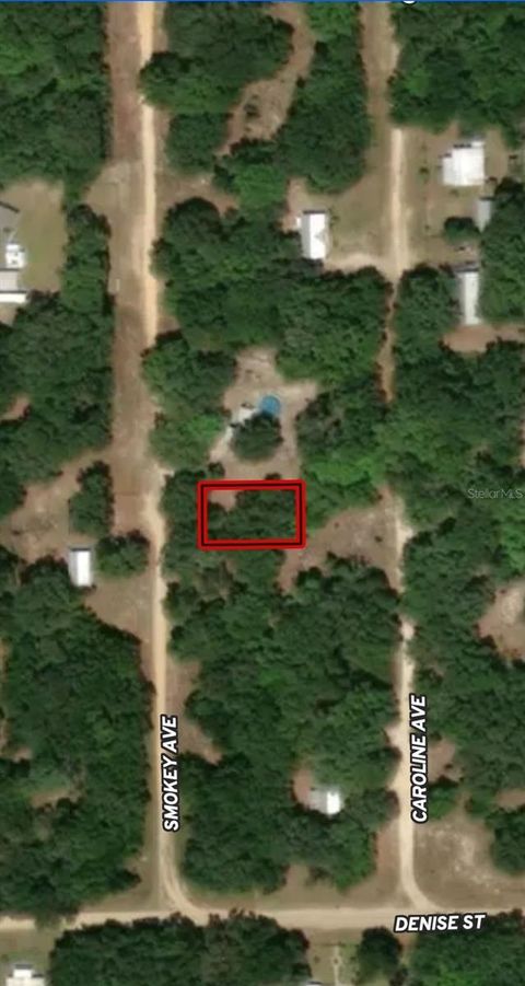 LOT 12 SMOKEY AVENUE INTERLACHEN FL 32148
