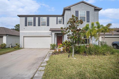 4954 WILD SENNA BOULEVARD TAMPA FL 33619