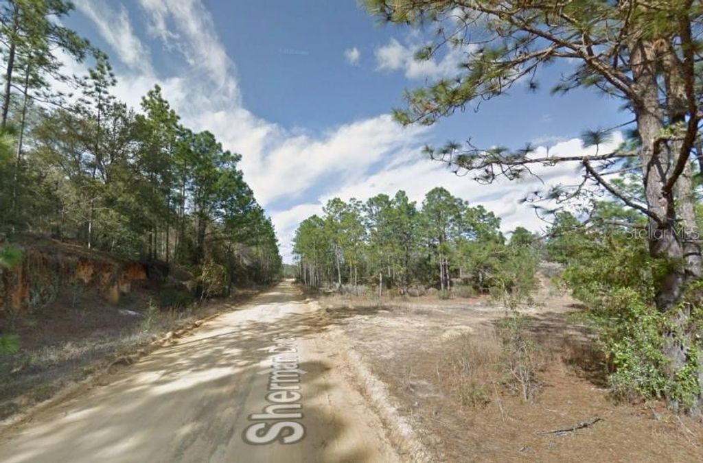Photo of Sherman Dr Cir, Interlachen, FL 32148 (MLS # TB8484952)