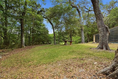Tiny photo for 16650 NE 53rd Lane, Williston, FL 32696 (MLS # W7884747)