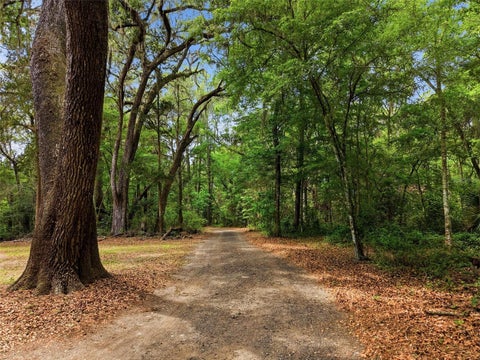 Tiny photo for 16650 NE 53rd Lane, Williston, FL 32696 (MLS # W7884747)