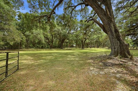 Tiny photo for 16650 NE 53rd Lane, Williston, FL 32696 (MLS # W7884747)