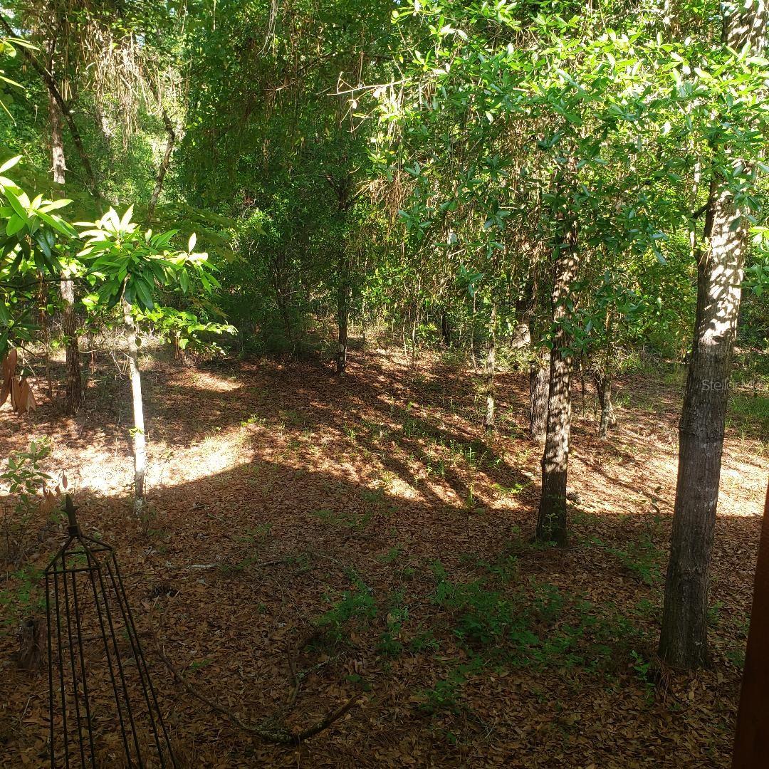 ICHETUCKNEE RIVER ESTATE - Residential