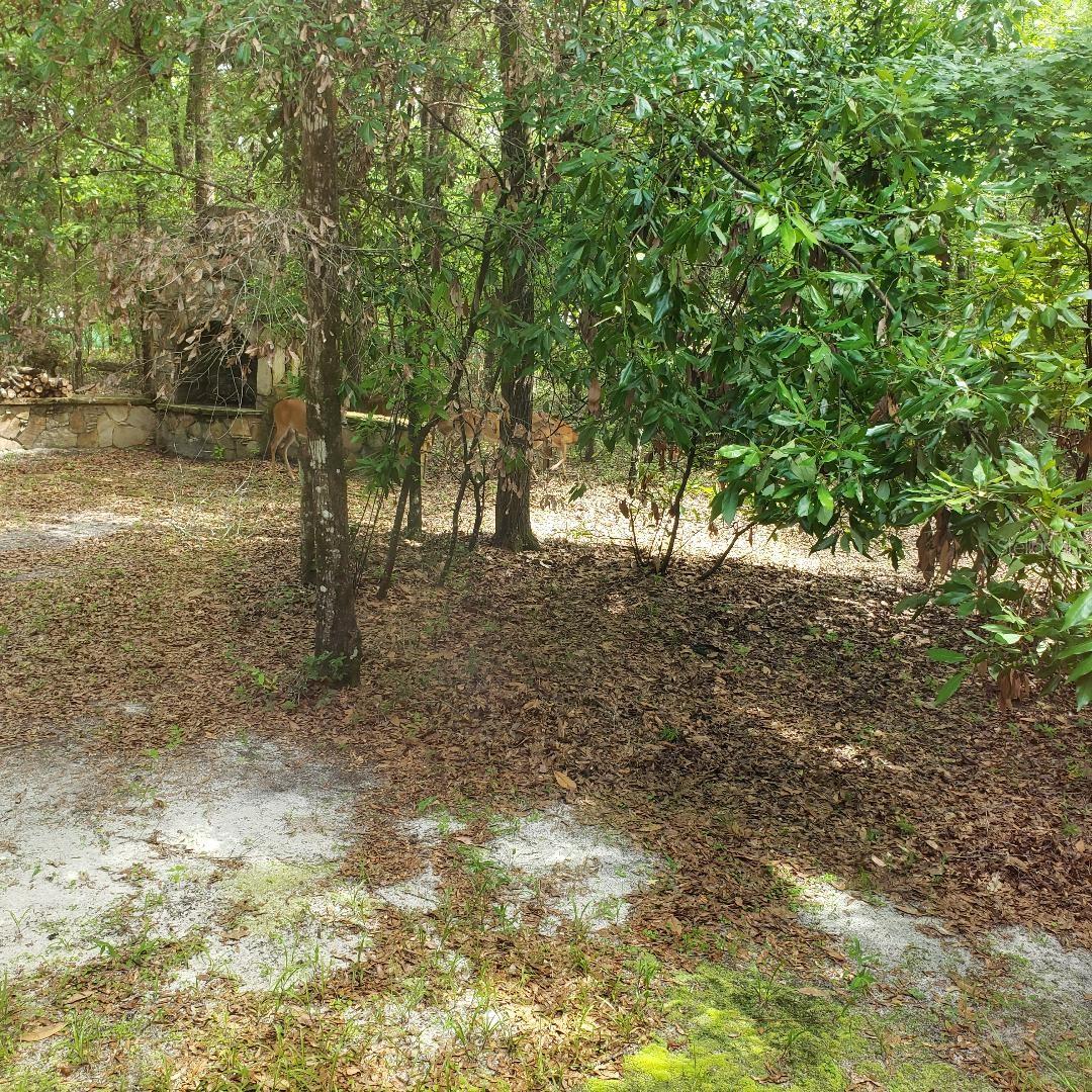 ICHETUCKNEE RIVER ESTATE - Residential