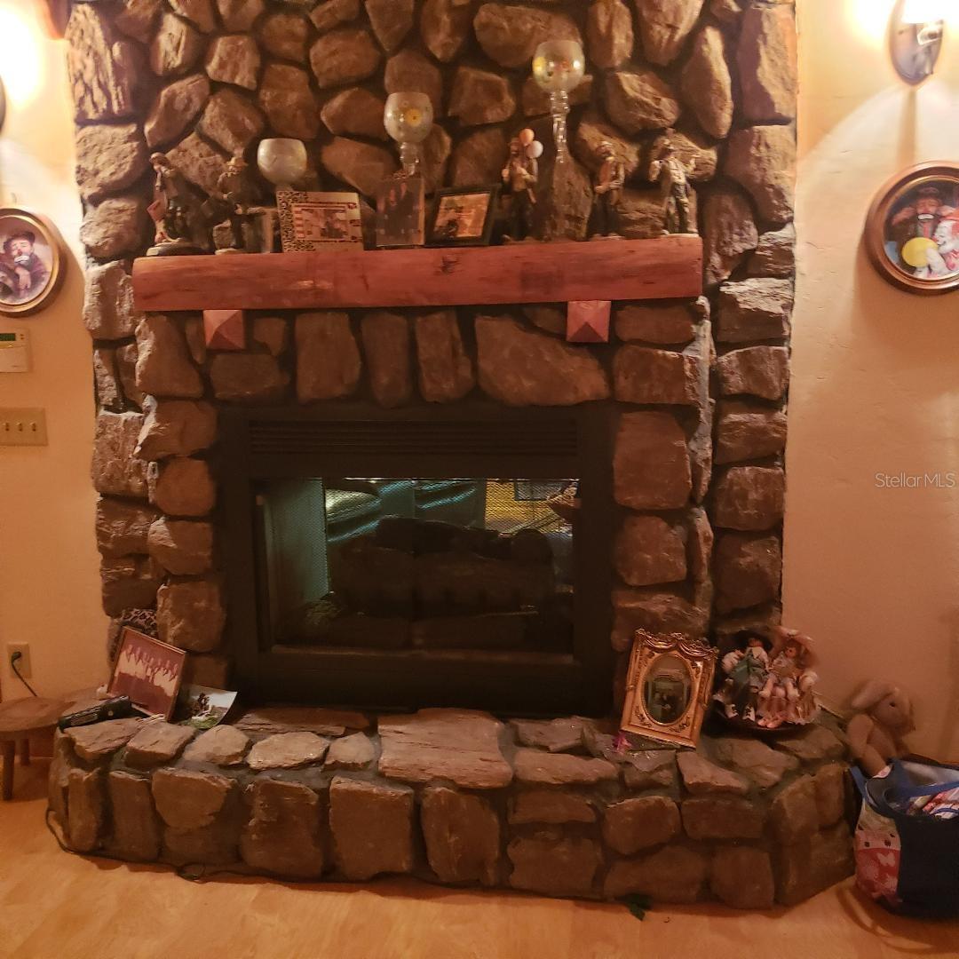 ICHETUCKNEE RIVER ESTATE - Residential